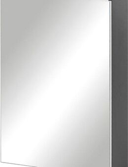 Schildmeyer Spiegelschrank Basic Breite 50 cm, 1-türig, Glaseinlegeböden, Made in Germany