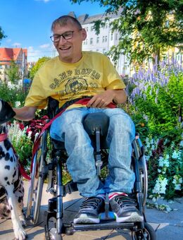 Topf Sucht Deckel - Halle (Saale)