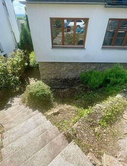 2,5 Zimmer Wohnung + EBK und Traumhaften Garten - Aachen