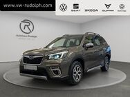 Subaru Forester, 2.0 Symmetrical AWD, Jahr 2022 - Oelsnitz (Erzgebirge)