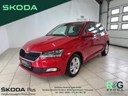 Skoda Fabia, 1.0 TSI Style, Jahr 2020 - Hemmingen (Niedersachsen)