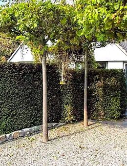 Ihr Tor zum Eigenheim- Freihstehendes Einfamilienhaus in begehrter Lage zum Forst Klövensteen - Wedel