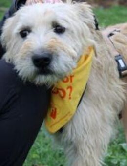 Senior Erwin sucht warmes Plätzchen - München