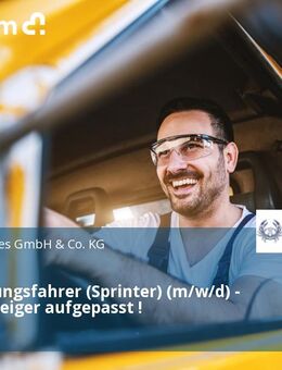 Auslieferungsfahrer (Sprinter) (m/w/d) - Quereinsteiger aufgepasst ! - Berlin