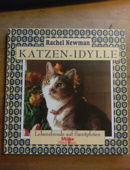 Buch - Katzen - Idylle. Lebensfreude auf Samtpfoten von Rachel Newman - Essen