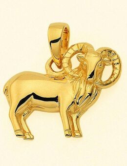 Adelia´s Kettenanhänger Damen & Herren 585 Gold Sternzeichen Anhänger Widder, Goldschmuck für Damen & Herren