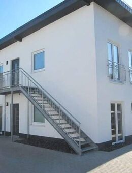 Stairways to heaven- tolle, junge Wohnung 2 ZKB - Wirges