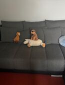 Eck Couchgarnitur in 24321