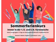 Sommerferienkurs Nachhilfe 5 x 90 Minuten Berlin Schöneweide - Berlin Treptow-Köpenick