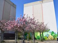 Familienwohnung mit perfektem Grundriss - Gotha