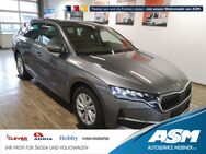 Skoda Octavia, 1.5 TSI Combi Joy R, Jahr 2024 - Blankenburg (Harz)