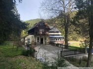 MFH/ Landhaus/ ehemalige Pension in idyllischer Lage im Osterzgebirge zum Aus- u. Umbauen - Altenberg