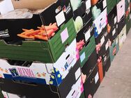 Glas Porzellan Steingut für Flohmarkt Trödel Händler Lagerbestand - Dassel