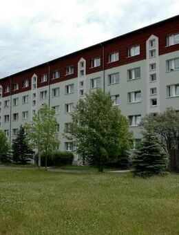 Einraumwohnung in ruhiger, grüner Lage - Colditz