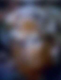 Car*** - Werne