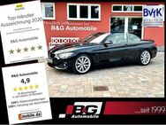 BMW 420 i Cabrio*1.Hand*Xenon*Navi*Leder*19 Zoll - Lübbenau (Spreewald)