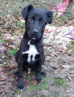 Lino ist ein lieber, süßer Kerl - Berlin