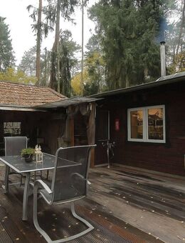 Gemütliches Wochenendhaus auf Pachtgrundstück versteckt im Grünen zu verkaufen - Oerlinghausen