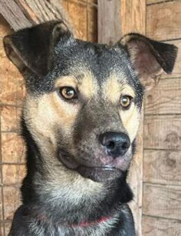 WIFI auf der Suche nach Liebe - Mamming