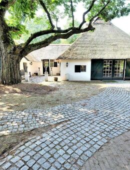 Wunderschönes Landhaus mit Reetdach, Schwimmbad und 11.662 m² Grundstück - Kranenburg (Nordrhein-Westfalen)