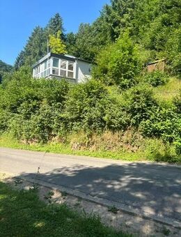 Idyllisches kleines Haus in Zemmer-Daufenbach! - Zemmer