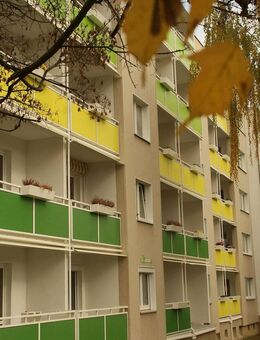 Wohnen in toller Lage "Zeitz-Ost" - 2-Raum-Wohnung mit Balkon und Dusche im 3. OG - Zeitz
