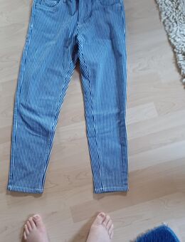 Hose - Geseke