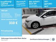 VW Golf, 2.0 TDI VIII Life Gar 2029, Jahr 2024 - Mannheim