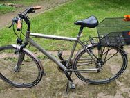 Herren Trekking Fahrrad - Herne Mitte