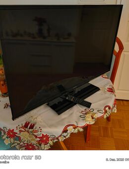 Flachbild TV von Toshiba - Pirna Zentrum