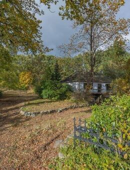 Großes Grundstück mit modernisierungsbedürftigem Bungalow in ruhiger Lage nahe Rendsburg - Lohe-Föhrden