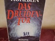 W.Hohlbein, "Das Druiden Tor", Fantasy- Roman ist der Mensch noch Herrscher über die Urgewalten - Nürnberg Zentrum