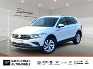 VW Tiguan, 2.0 TDI Life, Jahr 2023 - Nürtingen