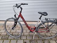 Damen-Fahrrad 28 Zoll (RIXE) gebraucht - Nürnberg