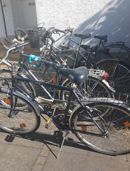 5 Fahrräder Phil Rogers, Villiger, Ragazzi, Kalkhoff - Siegburg