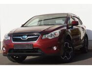 Subaru XV 2.0i Comfort*81 TKM*Klima*Kamera*AWD*AHK*ALU* - Berlin