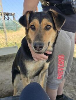 Kerubin - Sportskanone sucht Dich! - Köln