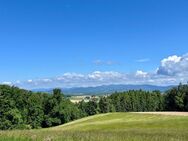 15.412 m2 - Einzigartige Hofstelle zwischen Iggensbach und Winzer -- TOP LAGE -- - Winzer