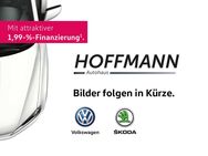 VW Tiguan, 2.0 TDI Elegance, Jahr 2023 - Burgwald