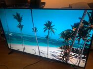 Toshiba 65Zoll - Coburg