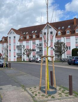 Kapitalanleger oder Eigennutzer - Attraktives Apartment für Singles oder Pendler in Brühl - Brühl (Nordrhein-Westfalen)