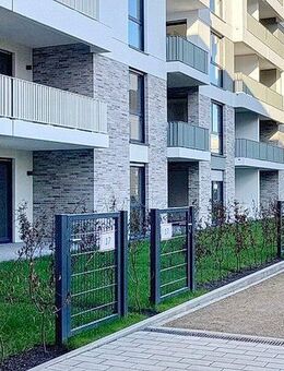 2-Zimmer-Wohnung in Düsseldorf - Düsseldorf