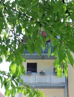 Für Kapitalanleger bestens geeignet! - Freital