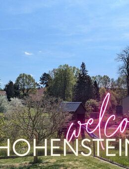 ++ ERSTBEZUG nach Sanierung! - wunderschöne 4-Raum Wohnung - modernisiertes Tageslichtbad ++ - Hohenstein-Ernstthal