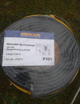 Zargengummi Hörmann Türe - Büdingen
