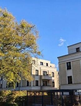 Wunderschönes Investment am Schillerplatz in DD-Blasewitz - freiwerdend! - Dresden