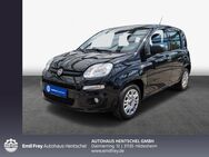 Fiat Panda, 1.2 Easy, Jahr 2017 - Hildesheim