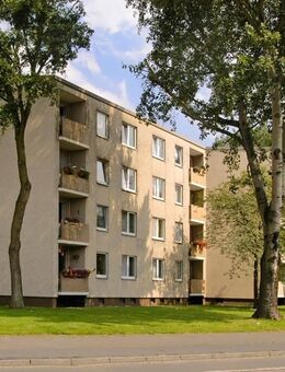 So schön im Erdgeschoss - 3-Zimmerwohnung in Krefeld-Benrad - Krefeld