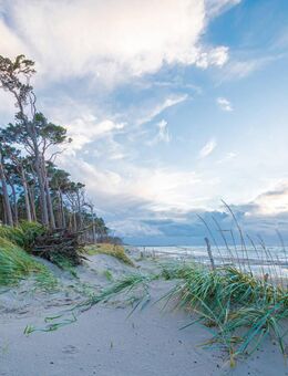 StrandNah GRÖMITZ ist das neue Immobilien-Highlight im Herzen des beliebten Ostseebads. - Grömitz