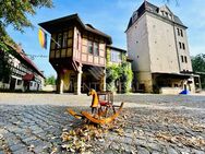 ***Historisches Mühlenanwesen am Profener Elstermühlgraben - Denkmal*** - Elstertrebnitz